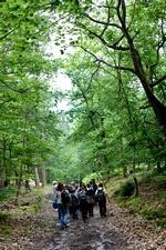 Élèves dans la forêt de Fontainebleau.