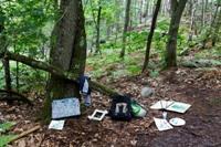 Sacs dans la forêt