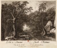 Vue de la forêt de Fontainebleau.