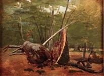 Détail d'un tronc d'arbre en forêt, 1822.