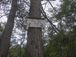 Agrandir l’image