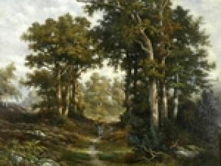 Femme ramassant du bois dans un chemin en forêt.
